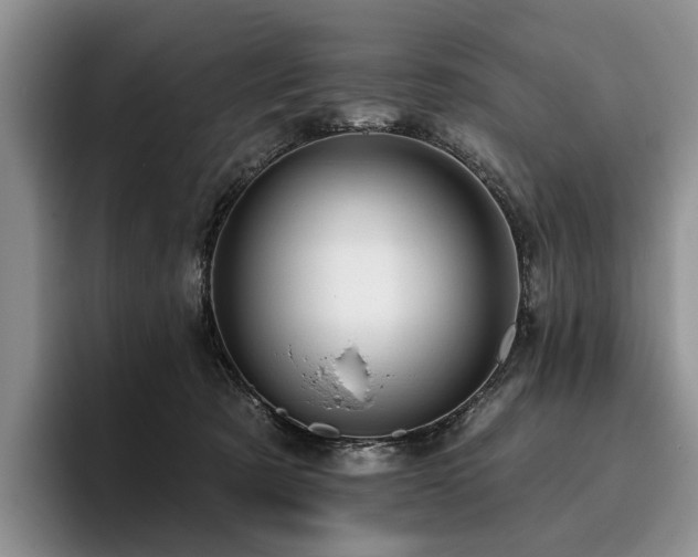 X0000096130321200801181118
