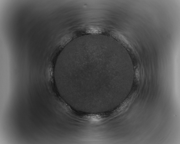 X0000096130322200801181118