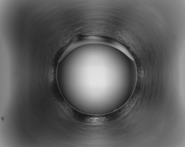 X0000096130323200801181118
