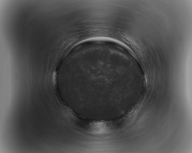 X0000096130325200801181118