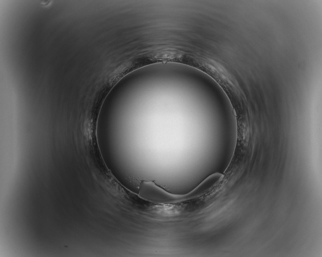 X0000096130326200801181118