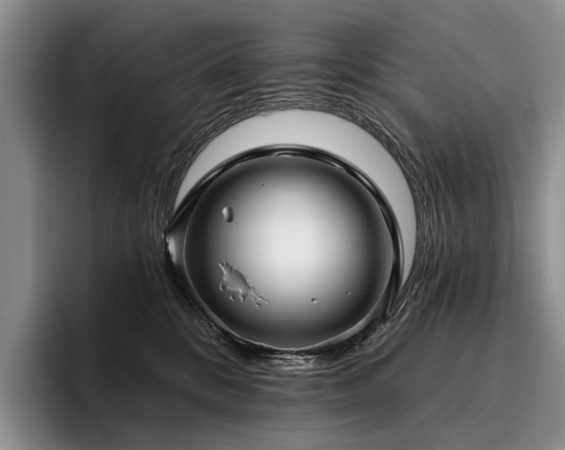 X0000096130328200801181118