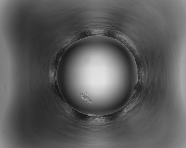 X0000096130329200801181118