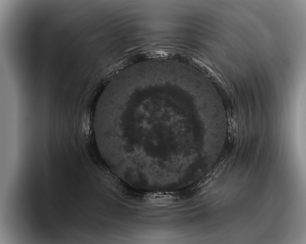 X0000096130331200801181118