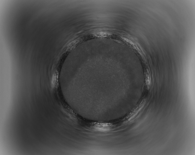 X0000096130332200801181118