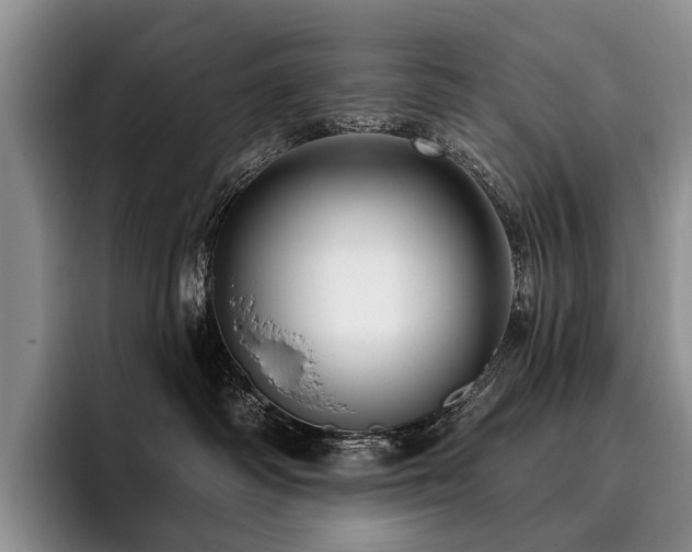 X0000096130334200801181118
