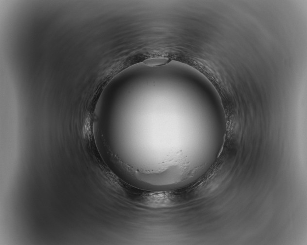 X0000096130335200801181117