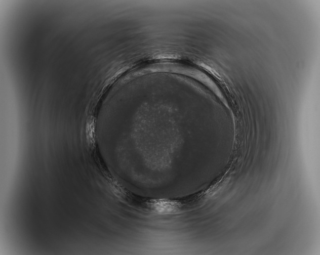 X0000096130336200801181117