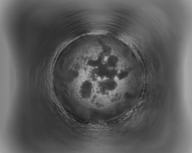 X0000096130337200801181117