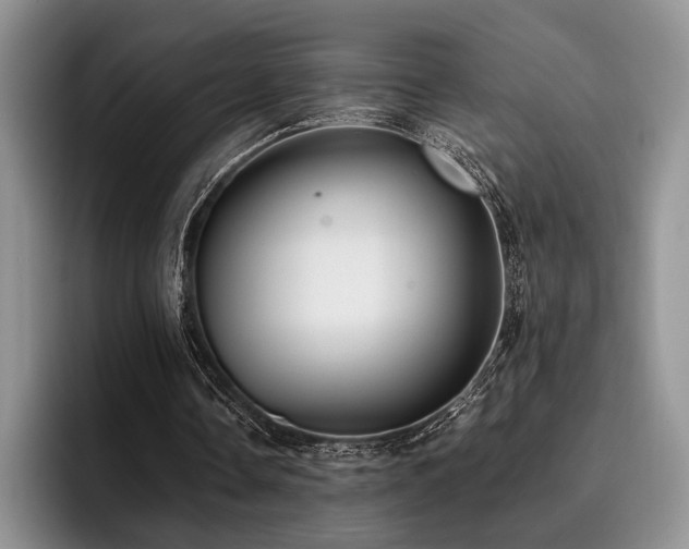 X0000096130338200801181117