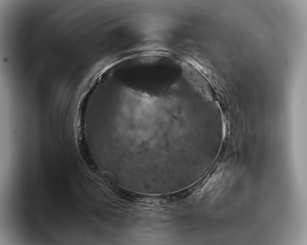 X0000096130339200801181117