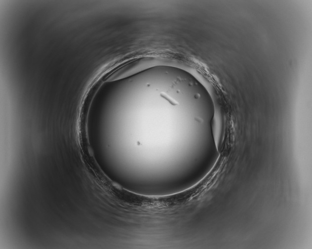 X0000096130340200801181117