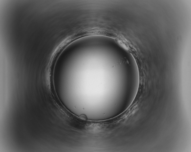 X0000096130341200801181117