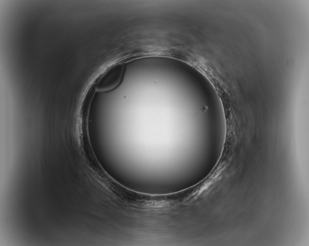 X0000096130342200801181117