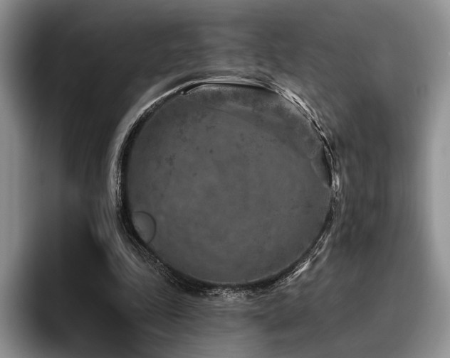 X0000096130343200801181117