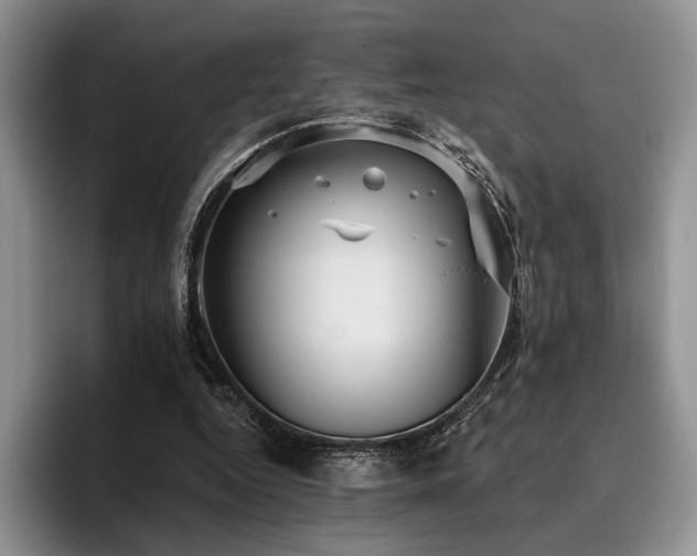 X0000096130344200801181117