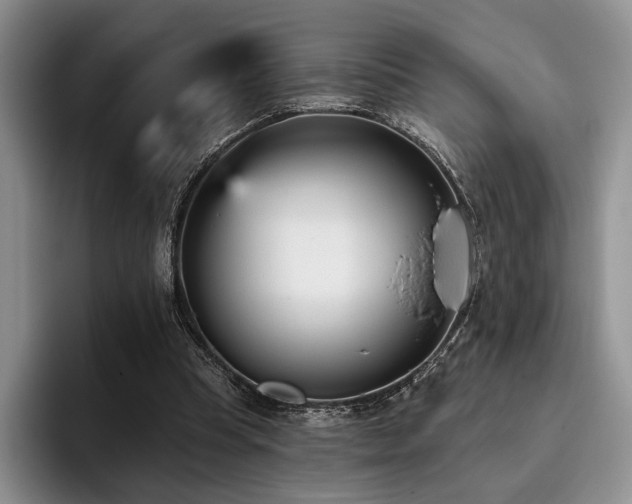 X0000096130345200801181117