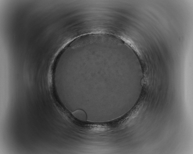X0000096130347200801181117