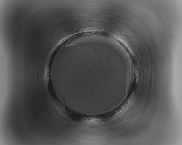X0000096130348200801181117