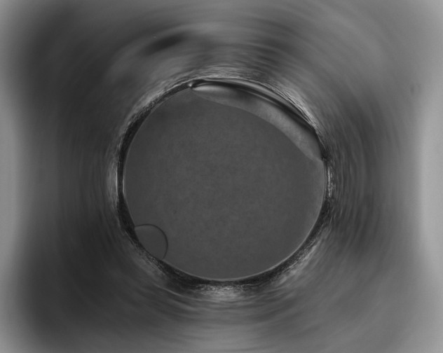 X0000096130349200801181117