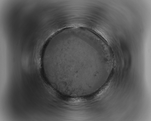 X0000096130351200801181117