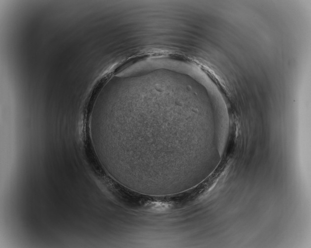 X0000096130352200801181117