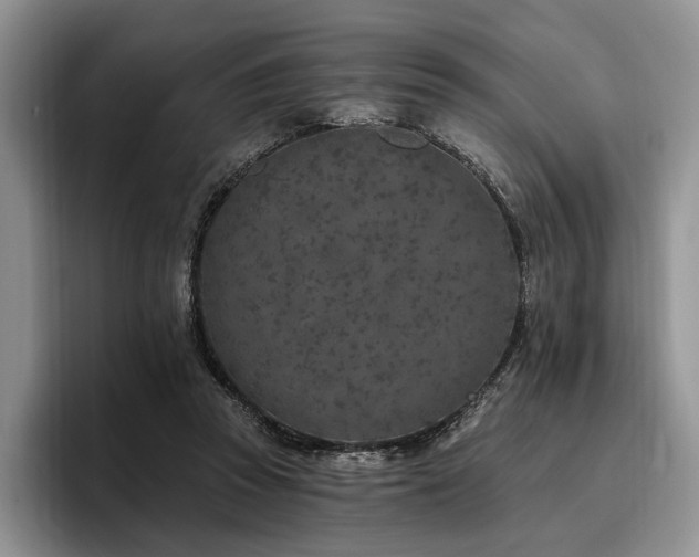 X0000096130353200801181117