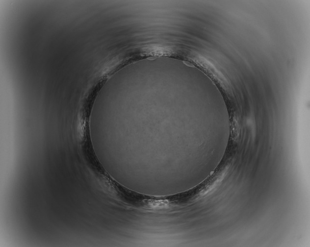 X0000096130355200801181117