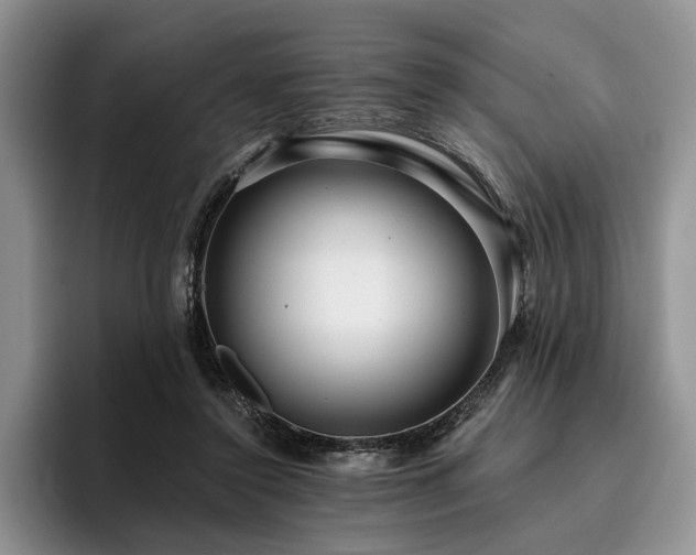 X0000096130356200801181117