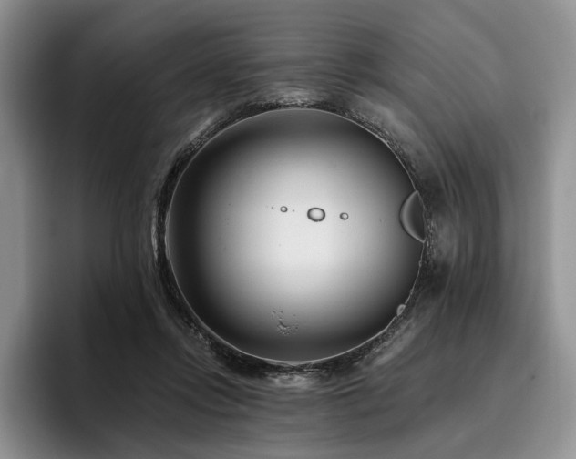 X0000096130358200801181117