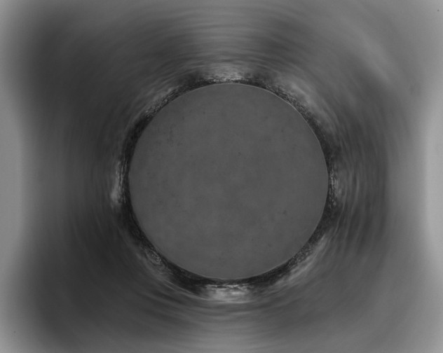 X0000096130359200801181117