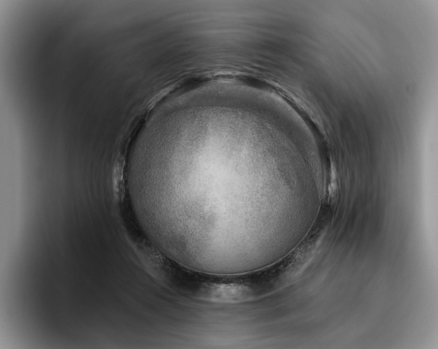 X0000096130360200801181117