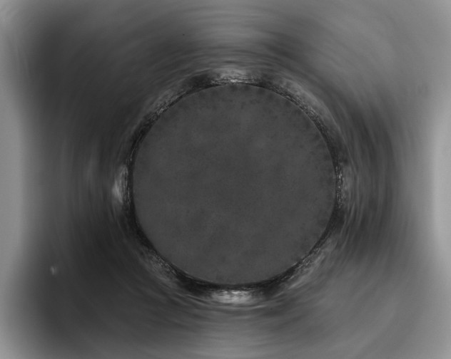 X0000096130361200801181117