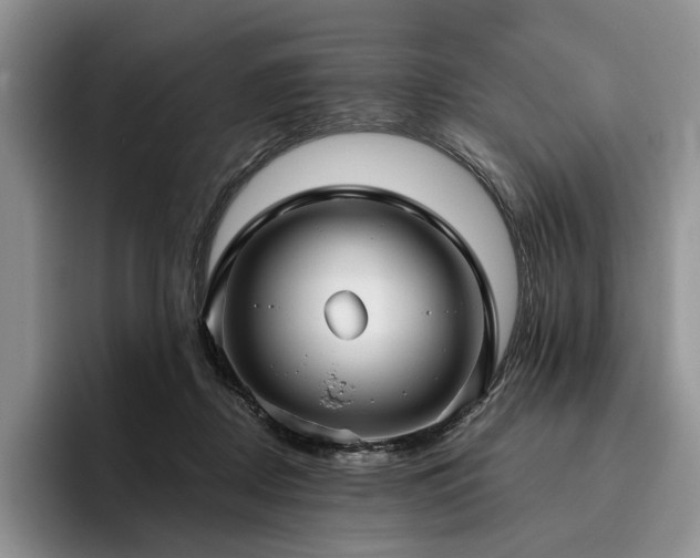 X0000096130362200801181117