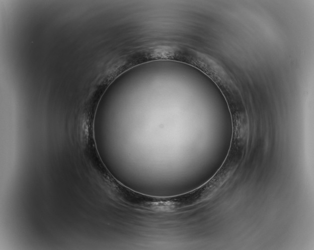 X0000096130363200801181117