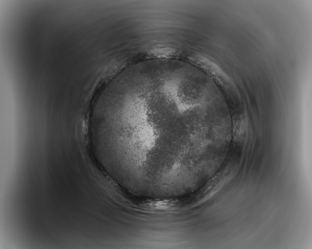 X0000096130365200801181117