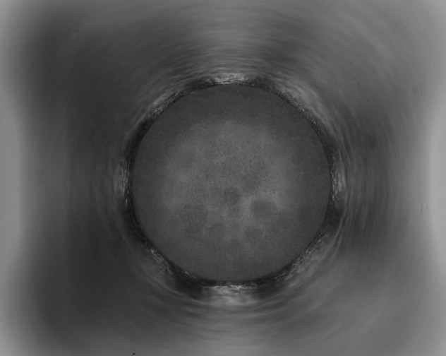X0000096130367200801181117