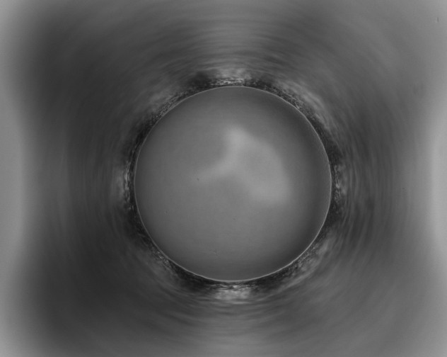 X0000096130369200801181117