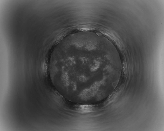 X0000096130371200801181117