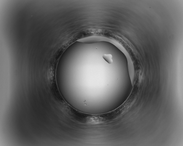 X0000096130372200801181117