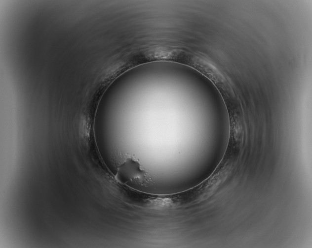 X0000096130374200801181117