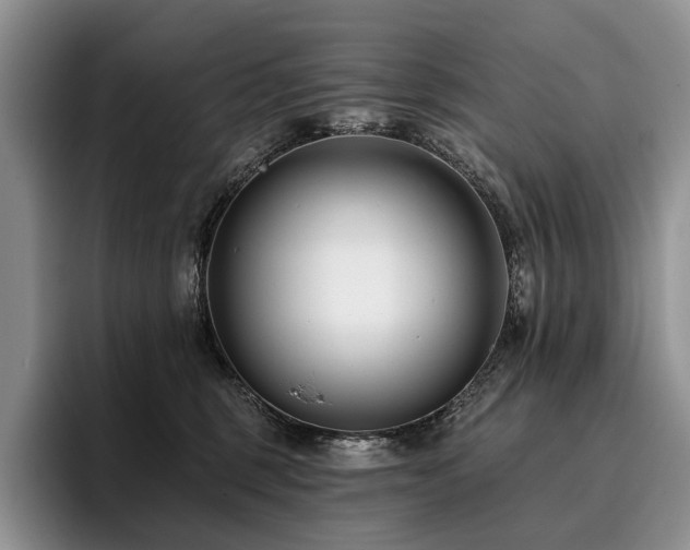 X0000096130375200801181117