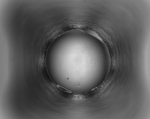 X0000096130376200801181117