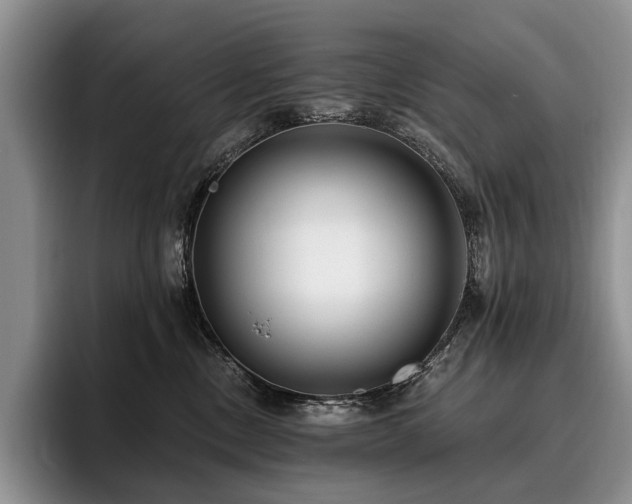 X0000096130378200801181117