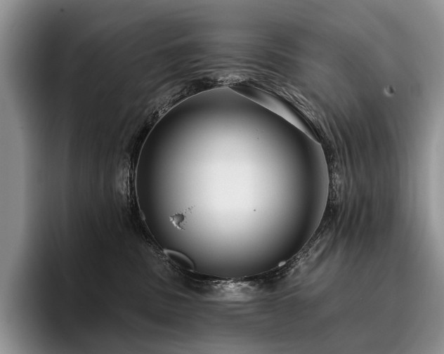 X0000096130379200801181117