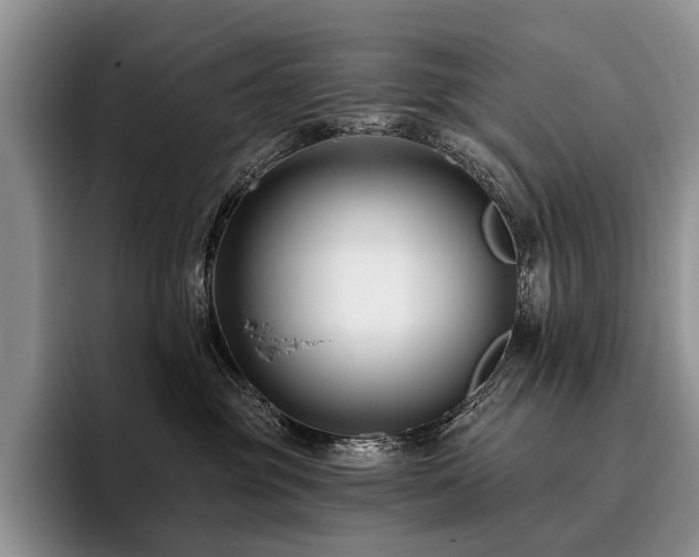 X0000096130381200801181117