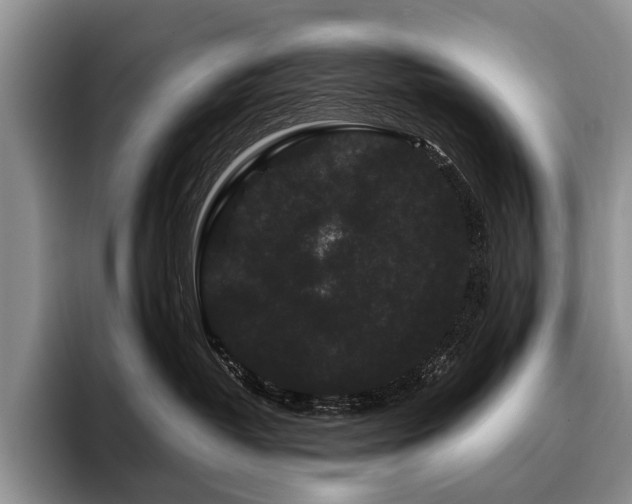 X0000096130382200801181117
