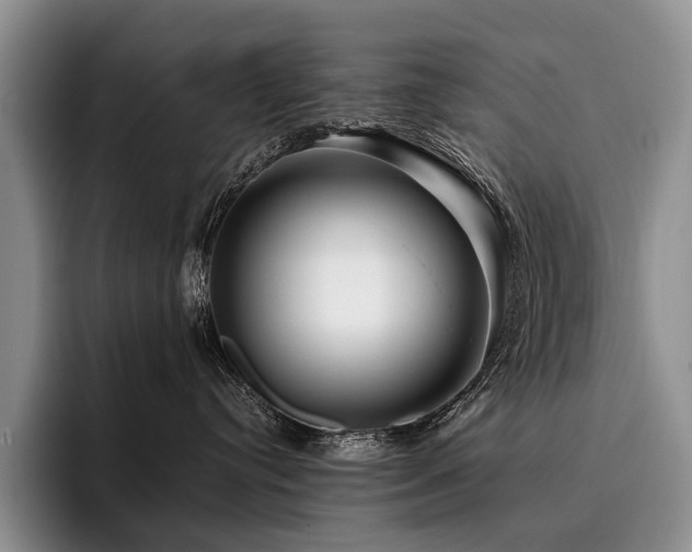 X0000096130384200801181117