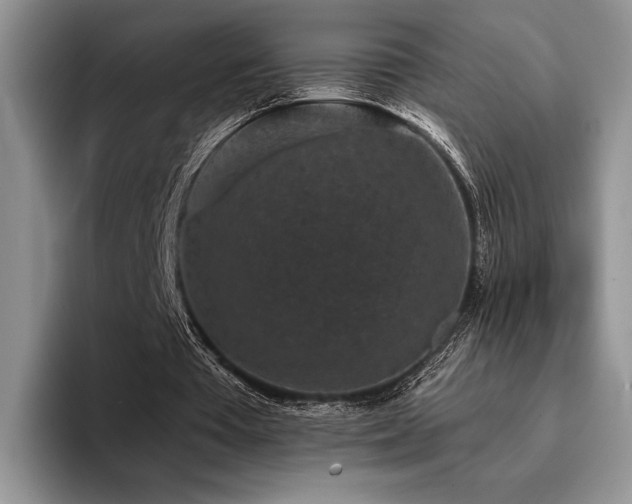 X0000096130385200801181117