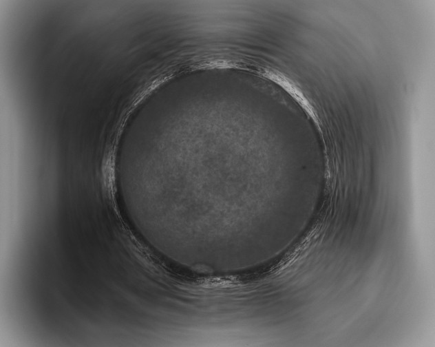 X0000096130386200801181117